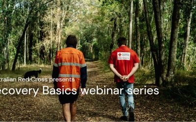 Recovery Basics Webinar Series